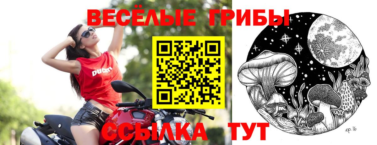 Галлюциногенные грибы мицелий  Вход с VPN  Ставрополь 