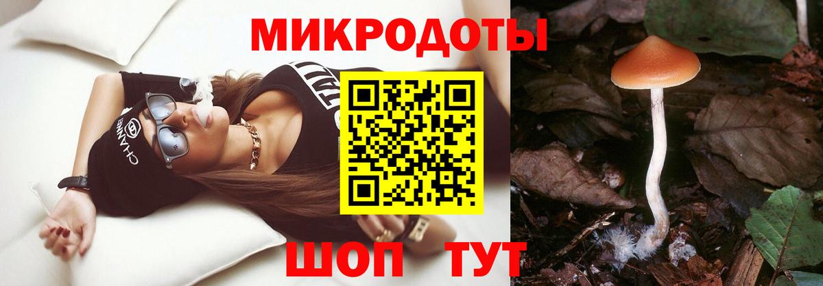 Галлюциногенные грибы мухоморы Ставрополь